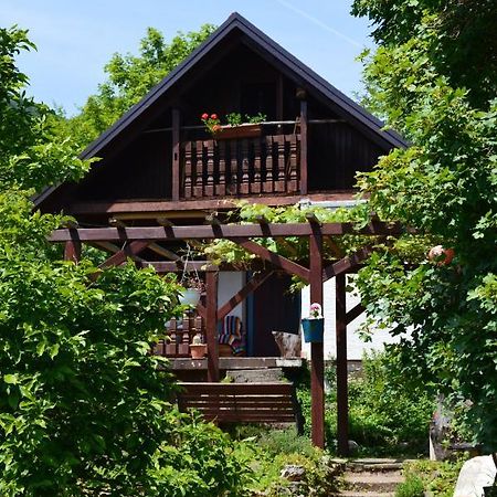 Na Okic - A Private Forest Oasis Sveti Martin pod Okicem Екстер'єр фото