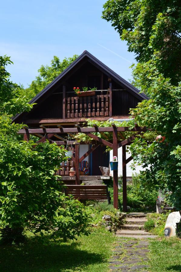 Na Okic - A Private Forest Oasis Sveti Martin pod Okicem Екстер'єр фото