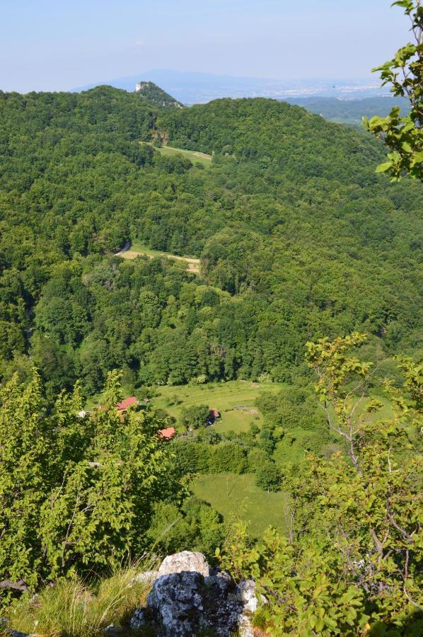 Na Okic - A Private Forest Oasis Sveti Martin pod Okicem Екстер'єр фото