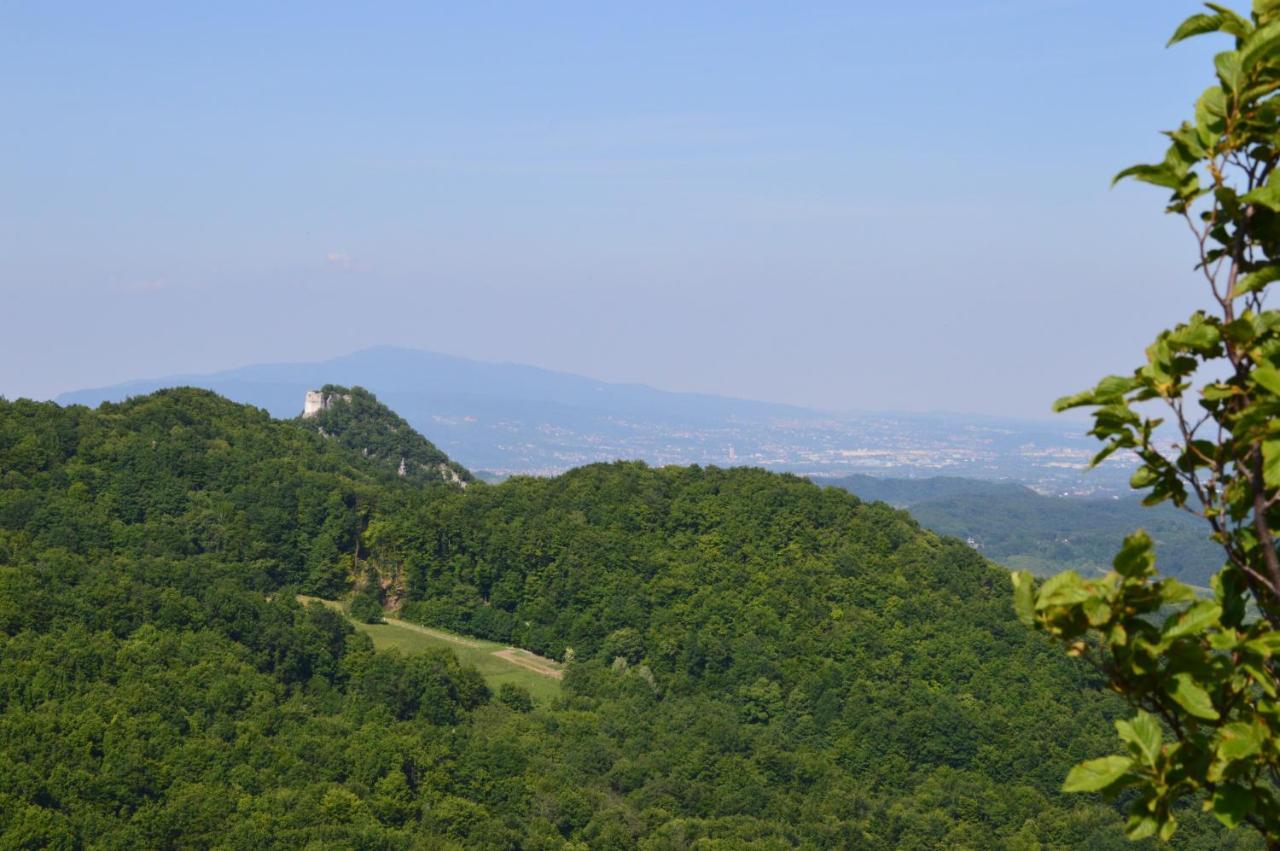 Na Okic - A Private Forest Oasis Sveti Martin pod Okicem Екстер'єр фото