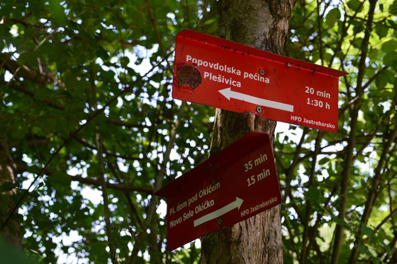 Na Okic - A Private Forest Oasis Sveti Martin pod Okicem Екстер'єр фото