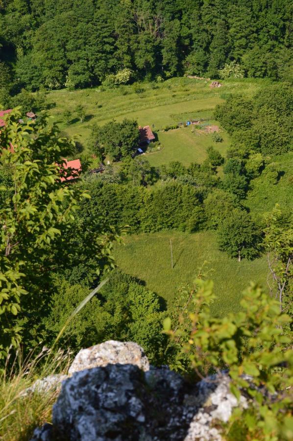 Na Okic - A Private Forest Oasis Sveti Martin pod Okicem Екстер'єр фото