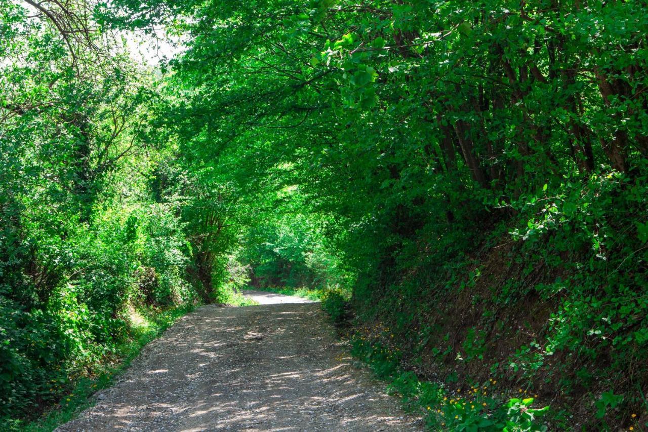 Na Okic - A Private Forest Oasis Sveti Martin pod Okicem Екстер'єр фото