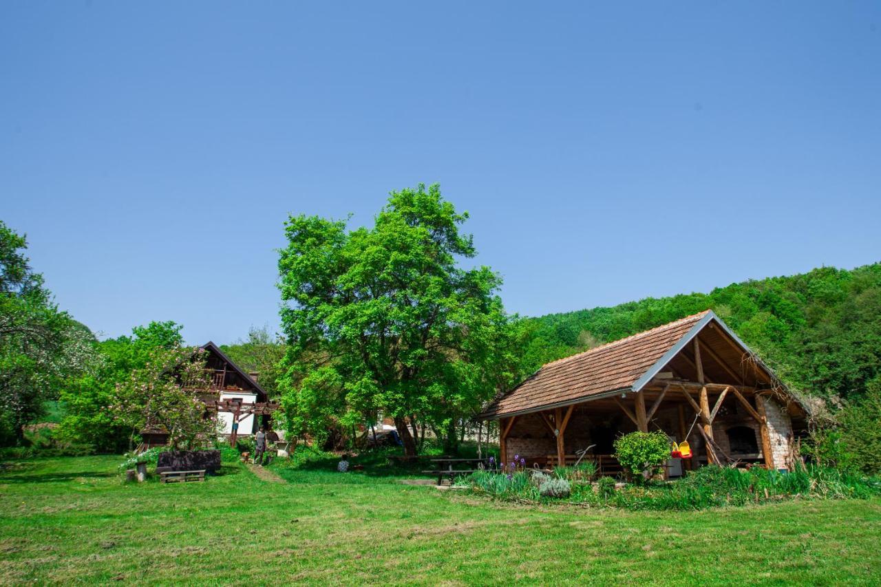 Na Okic - A Private Forest Oasis Sveti Martin pod Okicem Екстер'єр фото